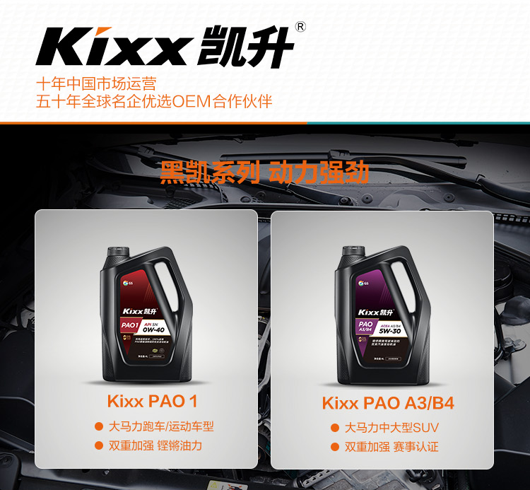 GS (Kixx) 凱升PAO全合成機油 5W-30 C3級 黑凱系列 4L-第9張圖片-鄭州市冠恒貿(mào)易有限公司【官方網(wǎng)站】-車用潤滑油服務(wù)專家